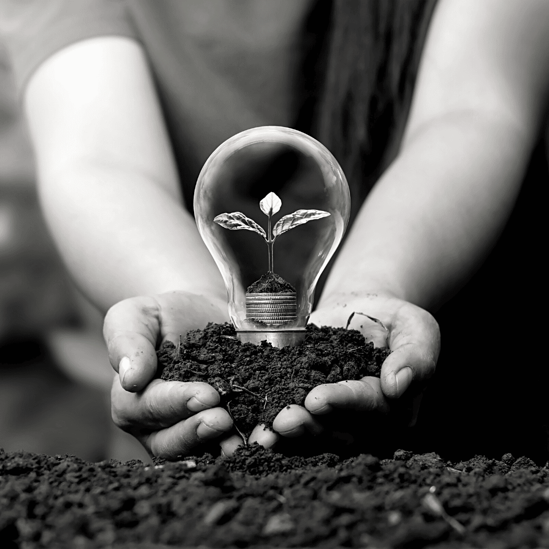 ISO 14001: Nachhaltigkeit mit Substanz statt Greenwashing