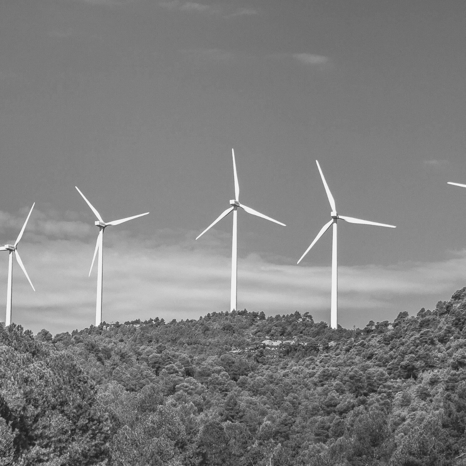 Was ist die ISO 50001?